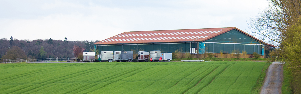 Reitanlage Mees